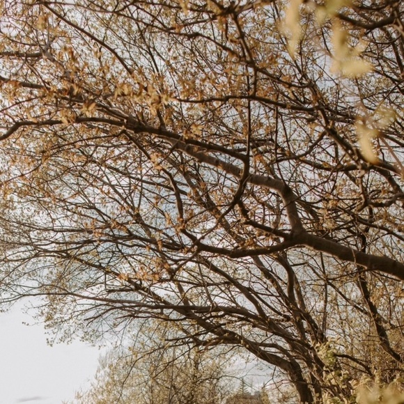 Meet your Posher, MC - Picture 1 of 1